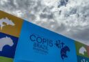COP15: Conferência da ONU sobre Espécies Migratórias é realizada no Brasil