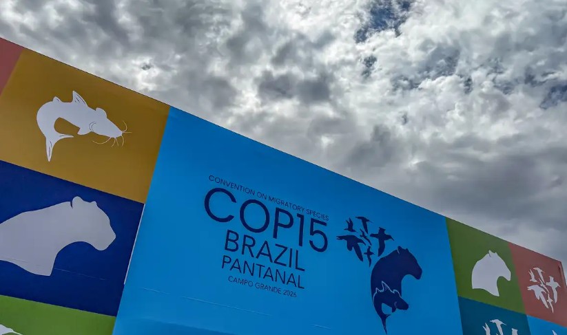 COP15: Conferência da ONU sobre Espécies Migratórias é realizada no Brasil